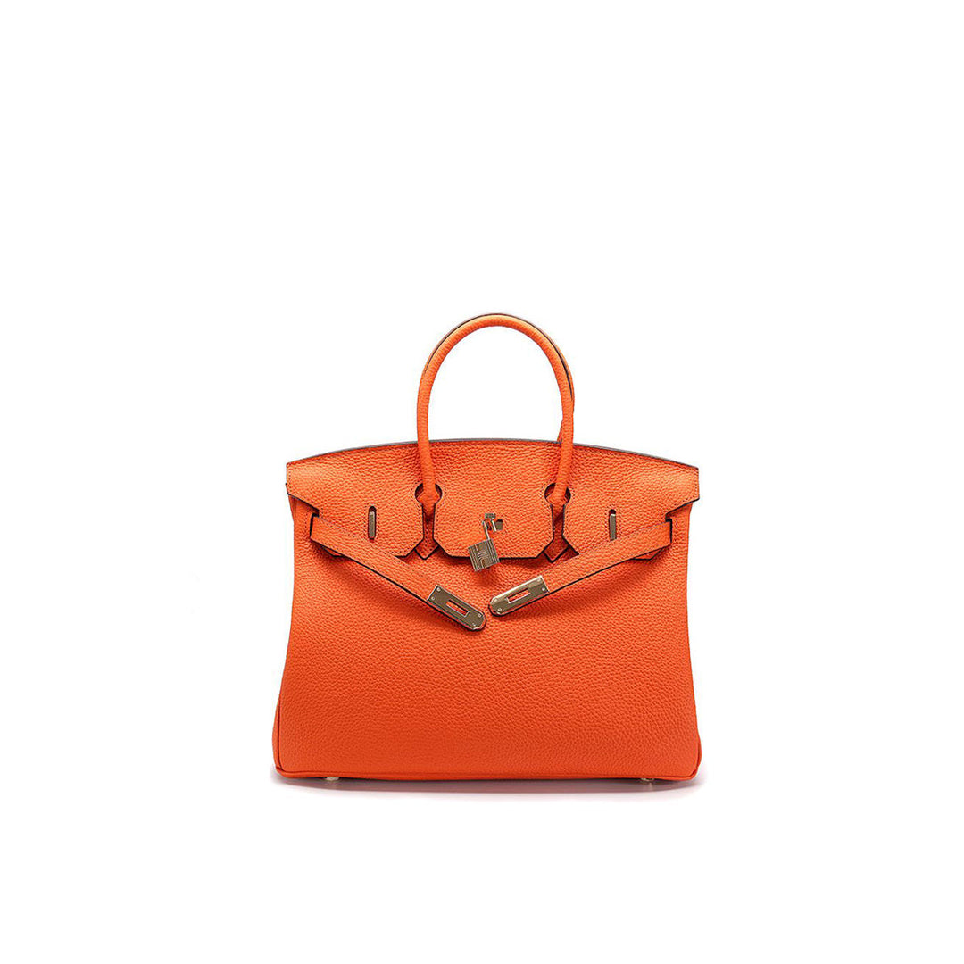Birk-Handtasche aus Narbenleder mit goldenen Beschlägen
