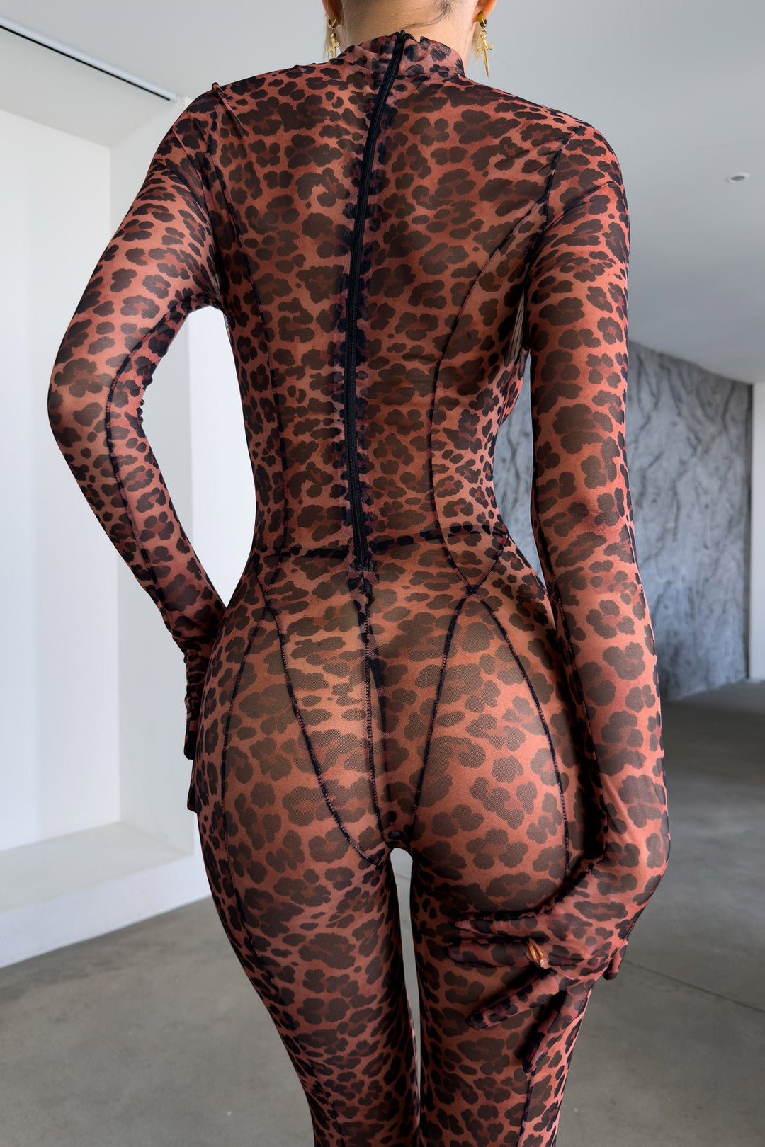 Transparenter Jumpsuit im Leoparden-Print mit langen Ärmeln
